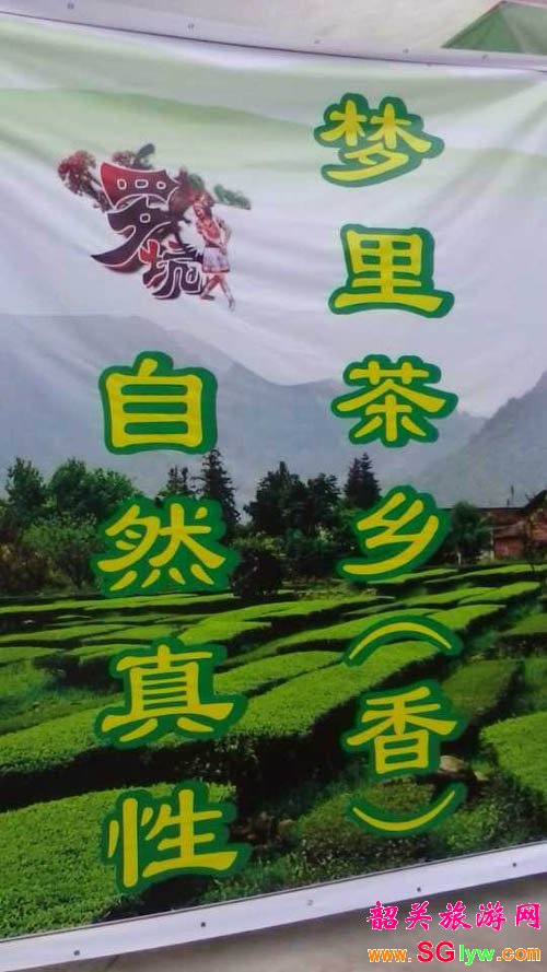2014年韶关曲江罗坑首届茶文化节