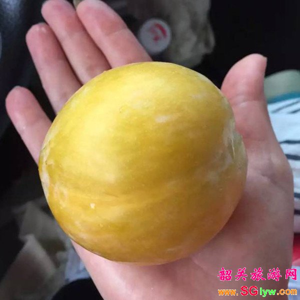 韶关乐昌九峰水果节黄金奈李