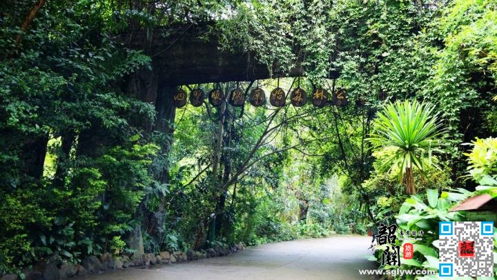 南糯山—原始森林公园