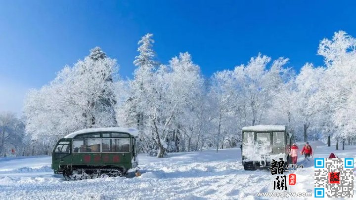 雪乡—哈尔滨（ 330 公里车程 5.5 小时）