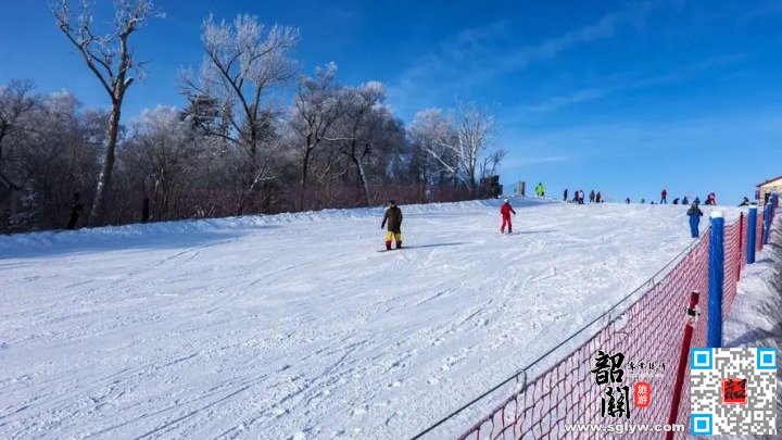 哈尔滨—亚布力 VIP 滑雪—雪国列车—亚布力