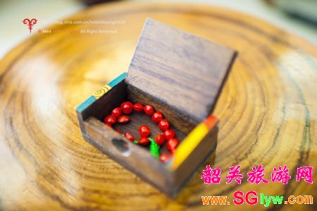 丹霞山红豆