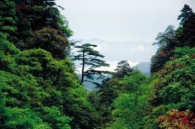 旅游推荐粤北领略深山之雄