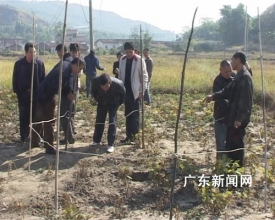韶关曲江大塘镇出现地面下陷现象