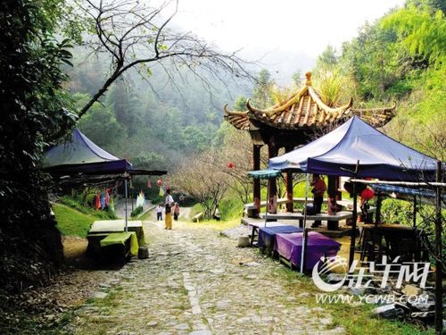 梅關古道———半山亭梅嶺的綠萼梅花南雄山區冬日山村梅關古道梅花競