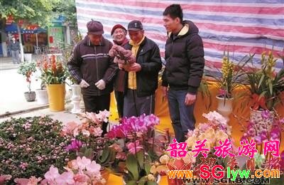 2011年韶关迎春花市开张