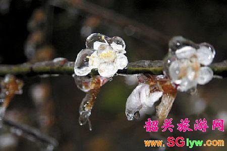 韶关迎来了2012的第一场雪