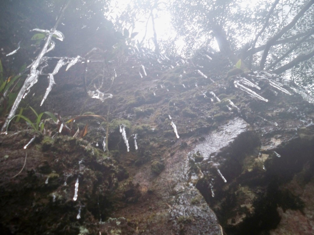 2012年春节韶关南岭国家森林公园出现冰雪