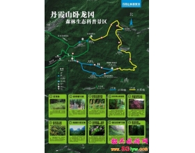 韶关丹霞山又添新景卧龙冈原始森林