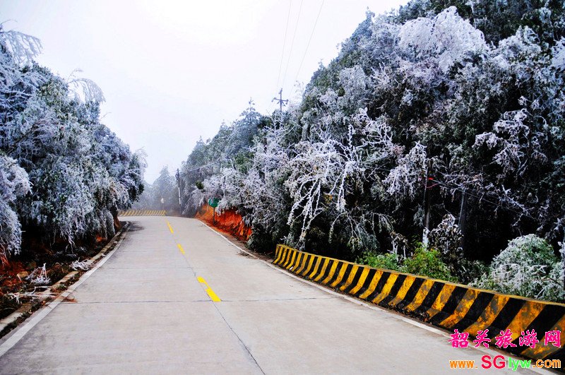 岭南公园雪景照片图片