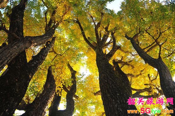 南雄坪田投资1040万元建设旅游观光