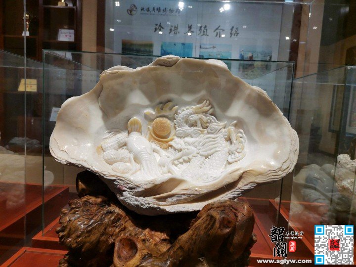 南珠魂—北海银滩—百年老街