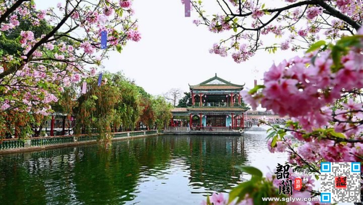 南国御花园—象鼻山—山水间