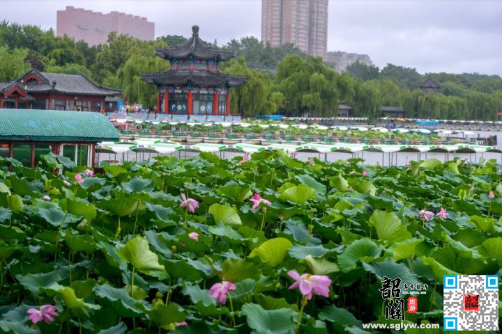 黑虎泉—大明湖老区—韶关