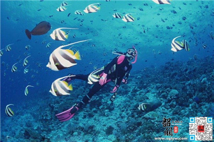亚龙湾国际玫瑰谷—帆船出海—远海潜水