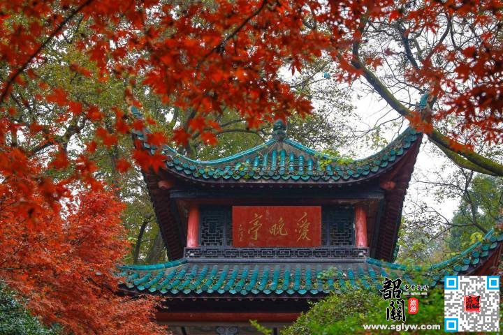岳麓山—爱晚亭—湖南大学—花明楼—韶山