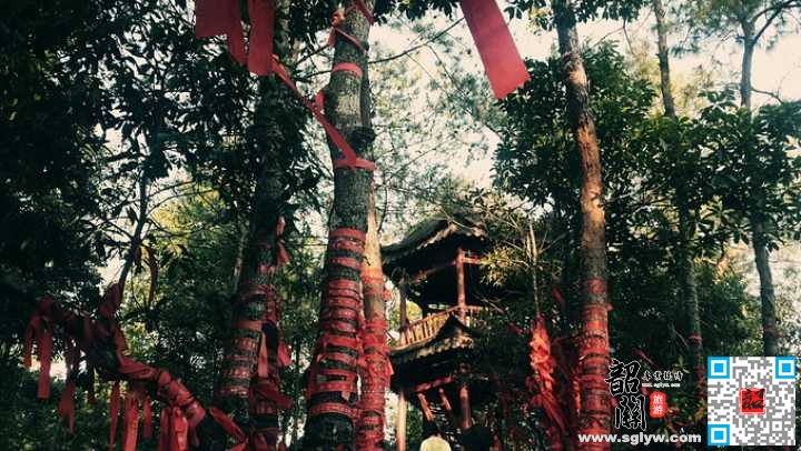 阳明湖—外观上犹江水电站—赣南树木园—韶关