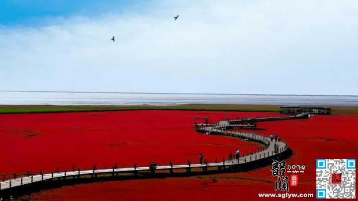 沈阳——盘锦红海滩——丹东