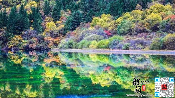 韶关——新乡