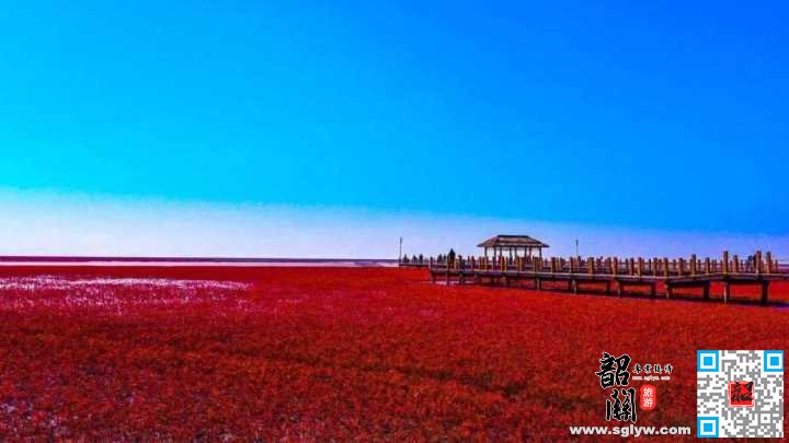 沈阳一红海滩一沈阳