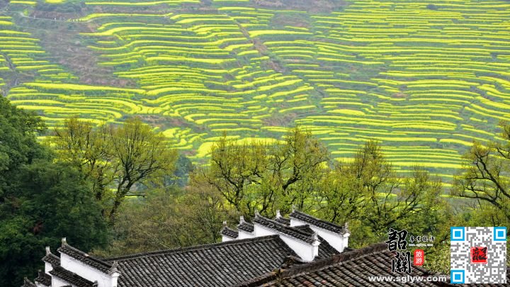 屯溪—婺源篁岭-屯溪
