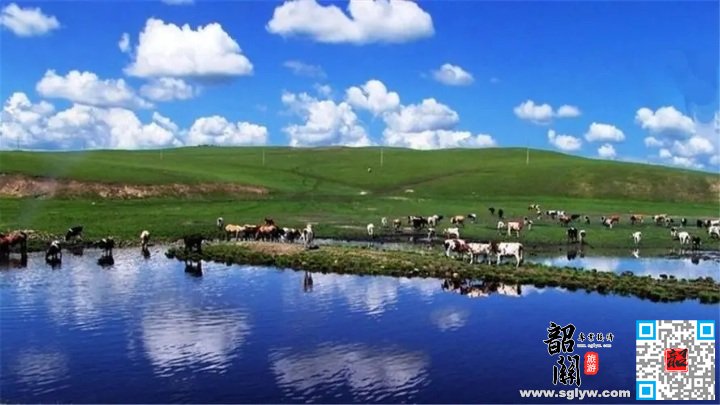 呼和浩特-希拉穆仁草原