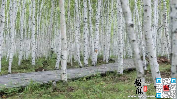 满归—根河—额尔古纳（约5H）