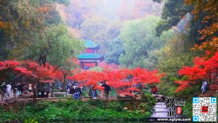 韶关—长沙南—岳麓山赏枫—自由打卡长沙美食街