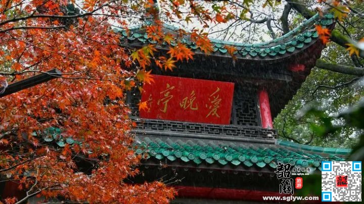 韶关—长沙南—岳麓山赏枫—自由打卡长沙美食街