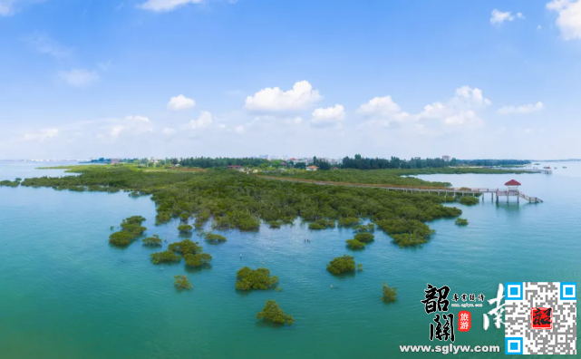 特呈岛红树林—韶关