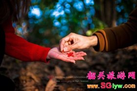 韶关丹霞山红豆寄相思