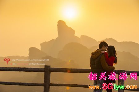 丹霞山红豆