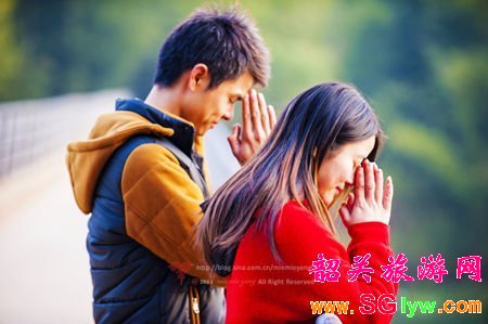 丹霞山红豆