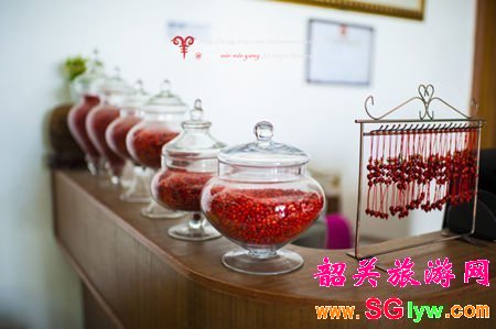 丹霞山红豆