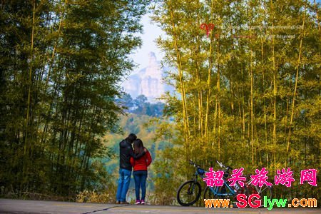 丹霞山红豆