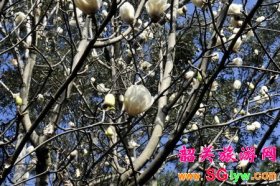 三八节到韶关丹霞山看花