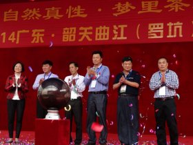 2014年韶关罗坑首届茶文化节圆满落幕